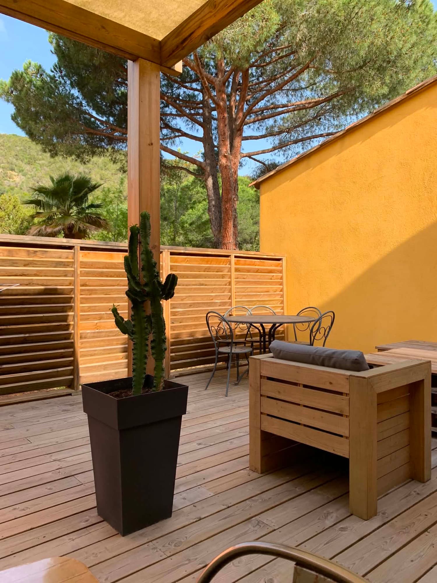 Terrasse de la Villa Dypsis avec cactus et petite table ronde