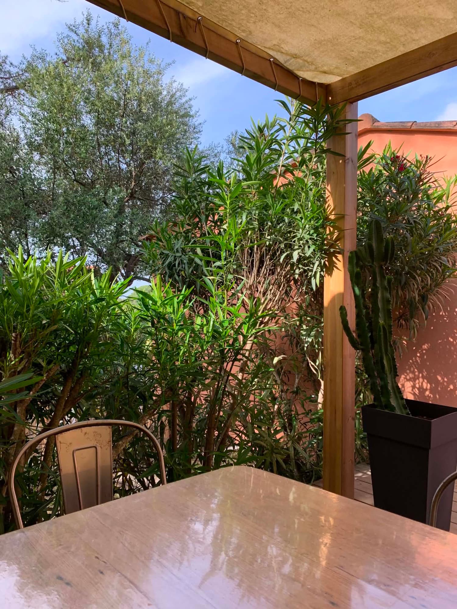 Vue depuis la terrasse de la Villa Dypsis à travers la végétation méditerranéenne
